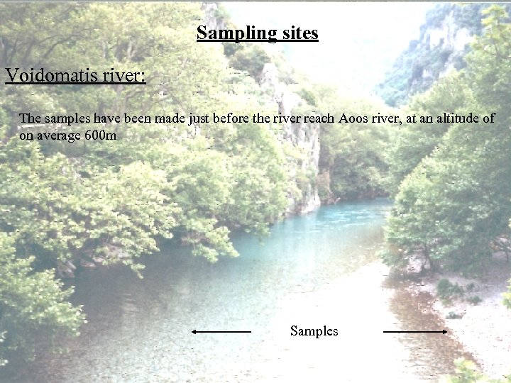 Sampling sites Voidomatis river: The samples have been made just before the river reach