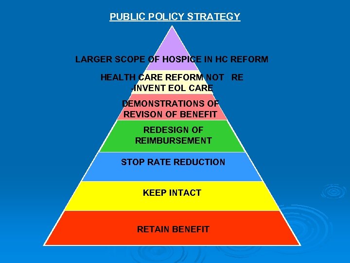 PUBLIC POLICY STRATEGY LARGER SCOPE OF HOSPICE IN HC REFORM HEALTH CARE REFORM NOT