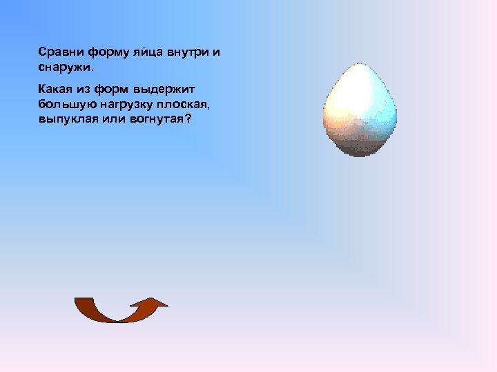 Сравни форму яйца внутри и снаружи. Какая из форм выдержит большую нагрузку плоская, выпуклая