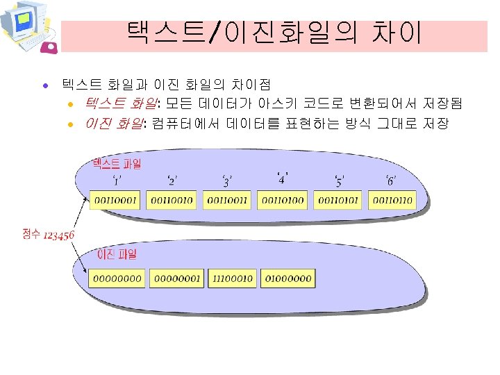 택스트/이진화일의 차이 · 텍스트 화일과 이진 화일의 차이점 · 텍스트 화일: 모든 데이터가 아스키