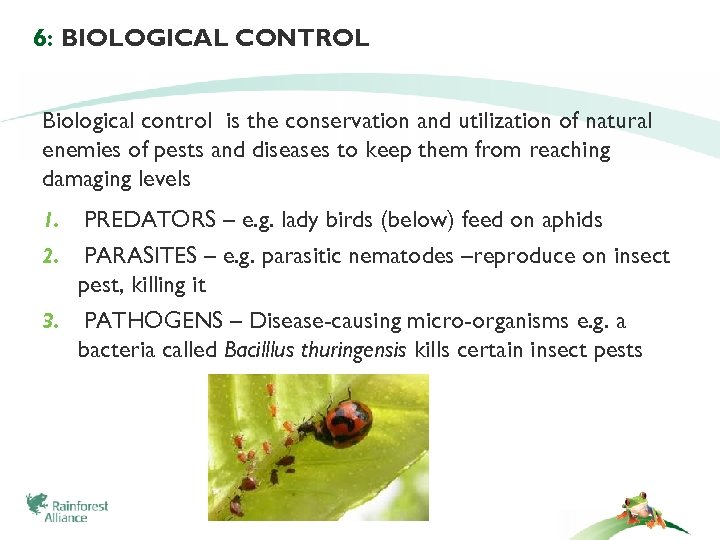 6: BIOLOGICAL CONTROL Biological control is the conservation and utilization of natural enemies of