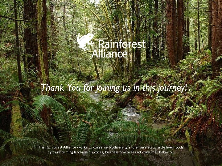 Thank You for joining us in this journey! The Rainforest Alliance works to conserve
