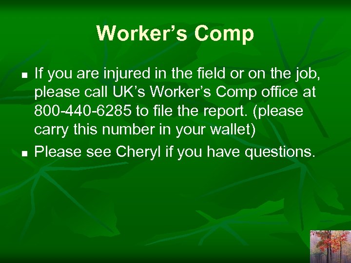 Worker’s Comp n n If you are injured in the field or on the