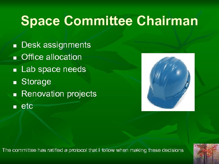 Space Committee Chairman n n n Desk assignments Office allocation Lab space needs Storage