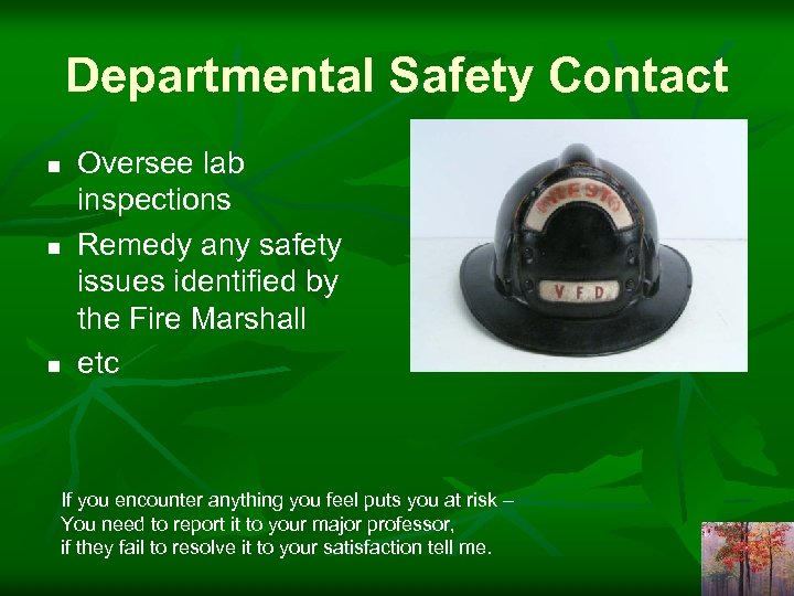 Departmental Safety Contact n n n Oversee lab inspections Remedy any safety issues identified