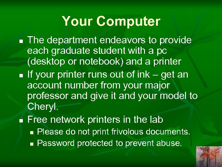 Your Computer n n n The department endeavors to provide each graduate student with