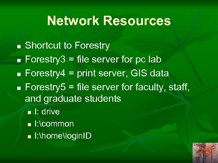 Network Resources n n Shortcut to Forestry 3 = file server for pc lab