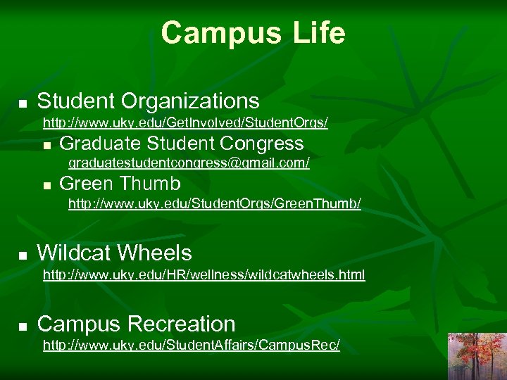 Campus Life n Student Organizations http: //www. uky. edu/Get. Involved/Student. Orgs/ n Graduate Student