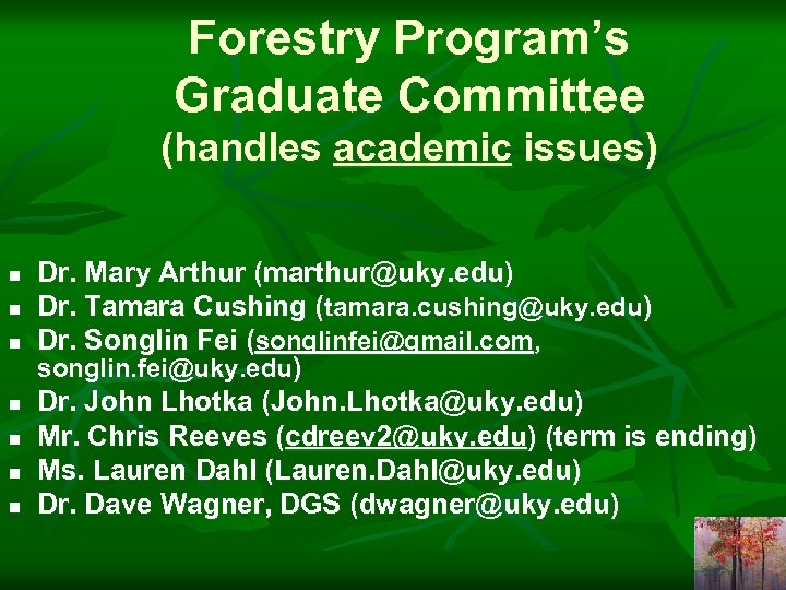 Forestry Program’s Graduate Committee (handles academic issues) n n n n Dr. Mary Arthur