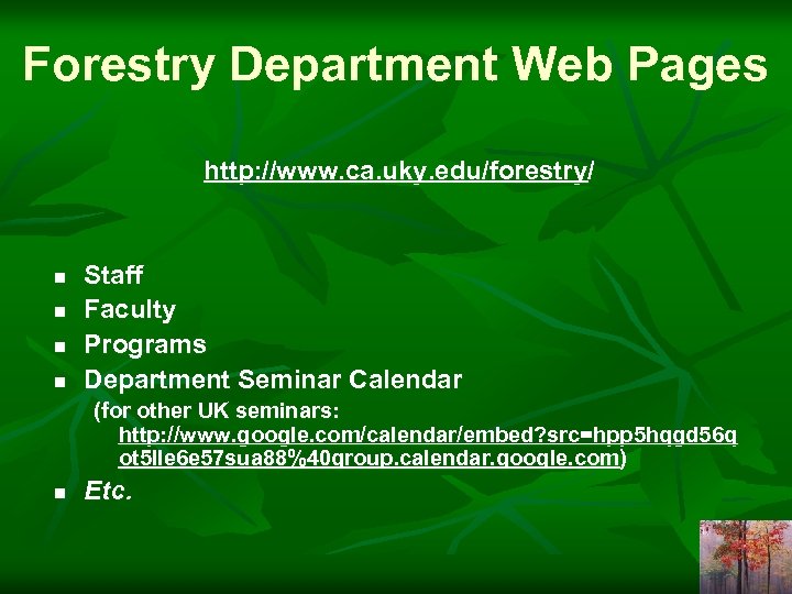 Forestry Department Web Pages http: //www. ca. uky. edu/forestry/ n n Staff Faculty Programs