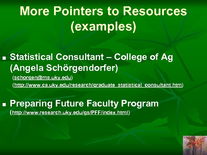 More Pointers to Resources (examples) n Statistical Consultant – College of Ag (Angela Schörgendorfer)