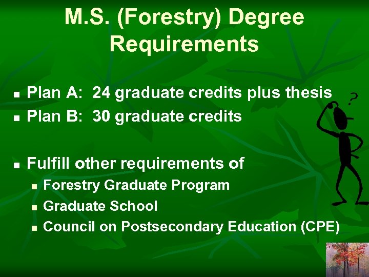 M. S. (Forestry) Degree Requirements n Plan A: 24 graduate credits plus thesis Plan