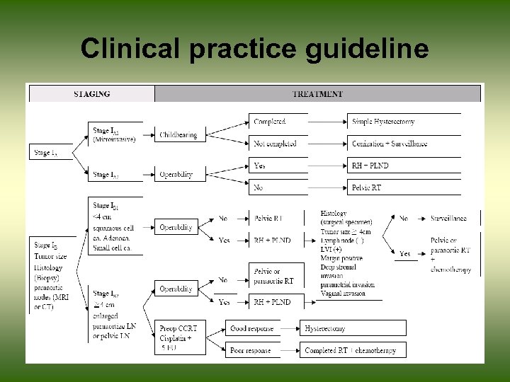 Clinical practice guideline 