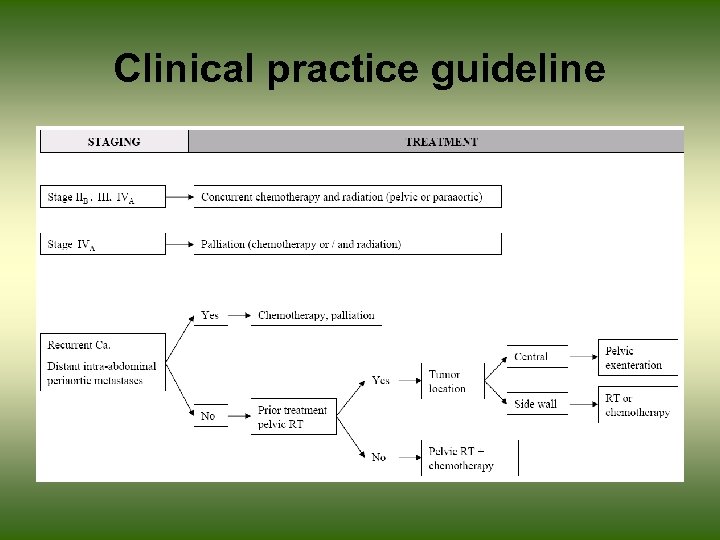 Clinical practice guideline 