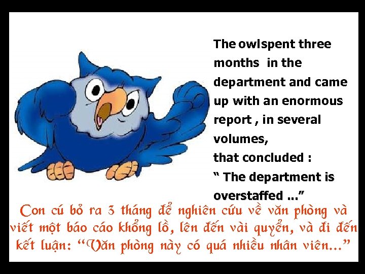 The owl spent three months in the department and came up with an enormous