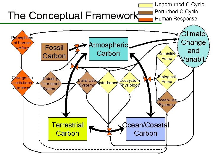 The Conceptual Framework Perceptions of human welfare Changes in institutions & technol. Atmospheric Carbon