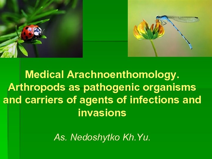 Medical Arachnoenthomology. Arthropods as pathogenic organisms and carriers of agents of infections and invasions