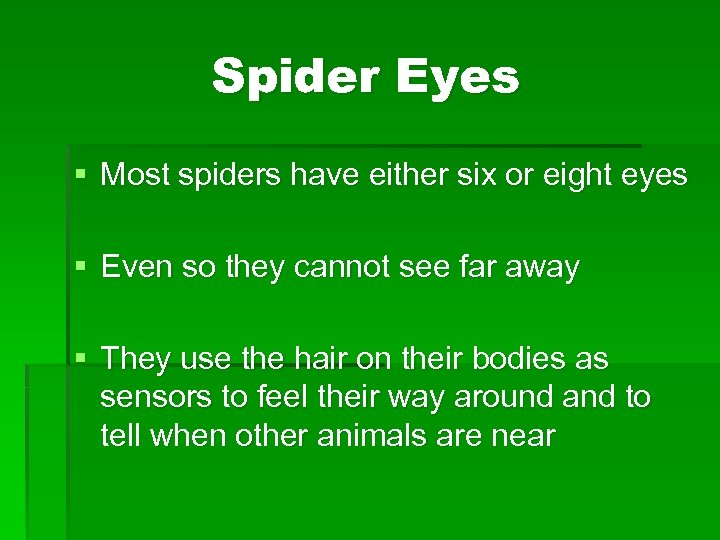 Spider Eyes § Most spiders have either six or eight eyes § Even so