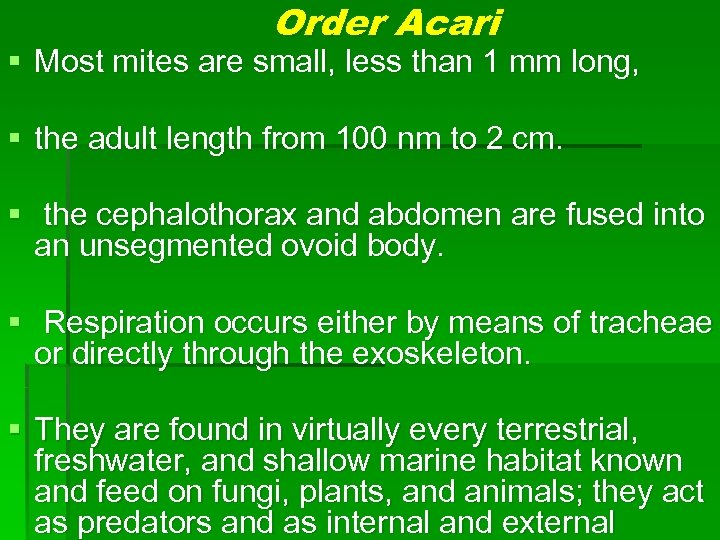 Order Acari § Most mites are small, less than 1 mm long, § the