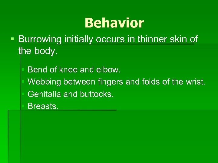 Behavior § Burrowing initially occurs in thinner skin of the body. § Bend of