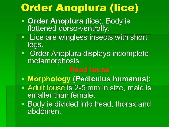 Order Anoplura (lice) § Order Anoplura (lice). Body is flattened dorso-ventrally. § Lice are