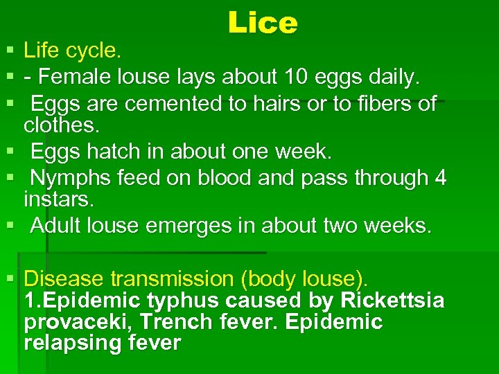 § § § Lice Life cycle. - Female louse lays about 10 eggs daily.