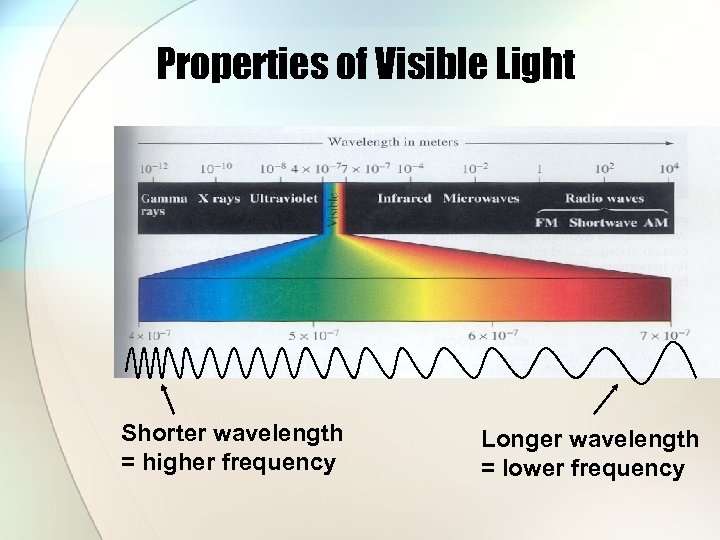 Properties of Visible Light Shorter wavelength = higher frequency Longer wavelength = lower frequency