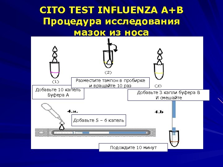 CITO TEST INFLUENZA A+B Процедура исследования мазок из носа Разместите тампон в пробирке и