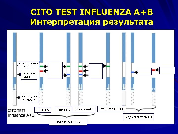 CITO TEST INFLUENZA A+B Интерпретация результата Контрольная линия Тестовая линия Место для образца Грипп