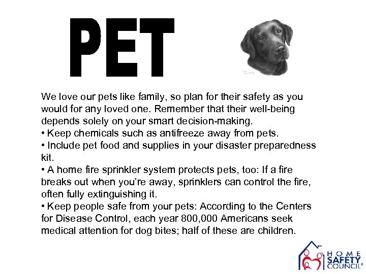 We love our pets like family, so plan for their safety as you would