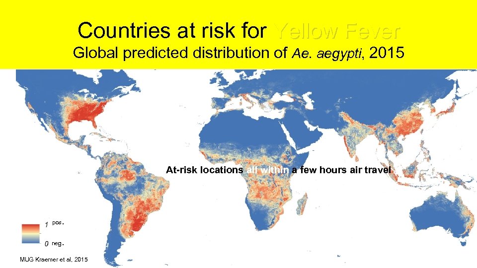 Countries at risk for Yellow Fever Global predicted distribution of Ae. aegypti, 2015 At-risk