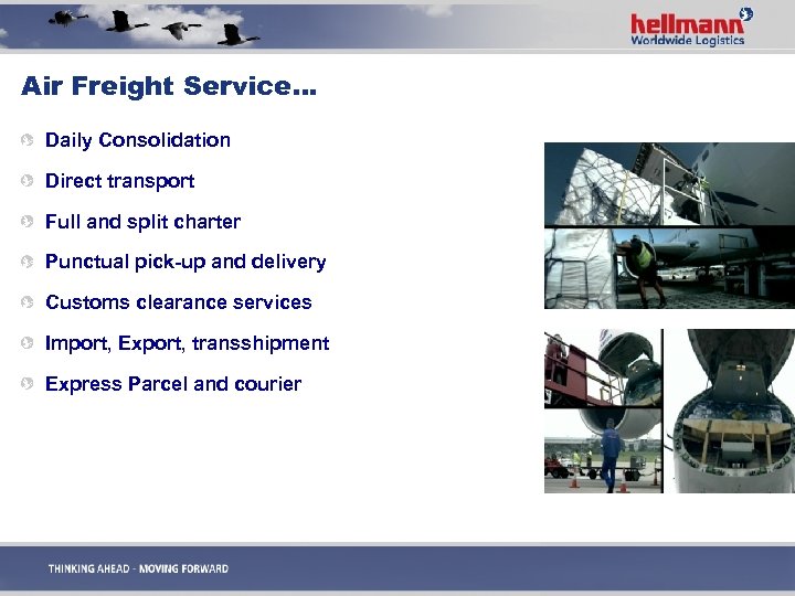 Air Freight Service… Daily Consolidation Direct transport Full and split charter Punctual pick-up and