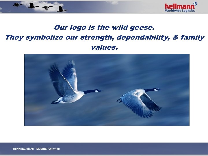 Our logo is the wild geese. They symbolize our strength, dependability, & family values.