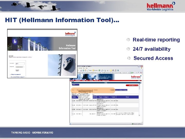 HIT (Hellmann Information Tool)… Real-time reporting 24/7 availability Secured Access 