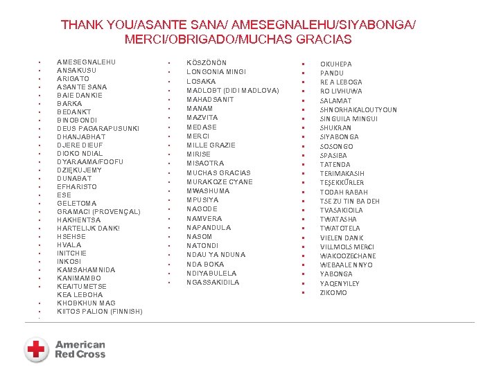 THANK YOU/ASANTE SANA/ AMESEGNALEHU/SIYABONGA/ MERCI/OBRIGADO/MUCHAS GRACIAS § § § § § § § §