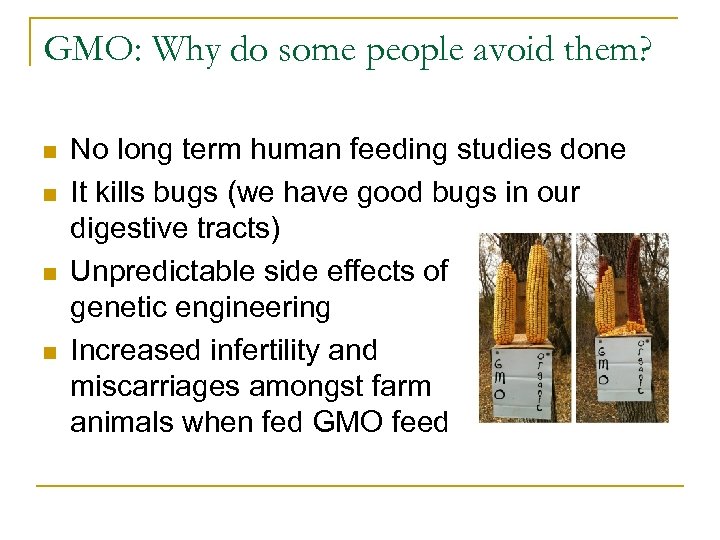 GMO: Why do some people avoid them? n n No long term human feeding