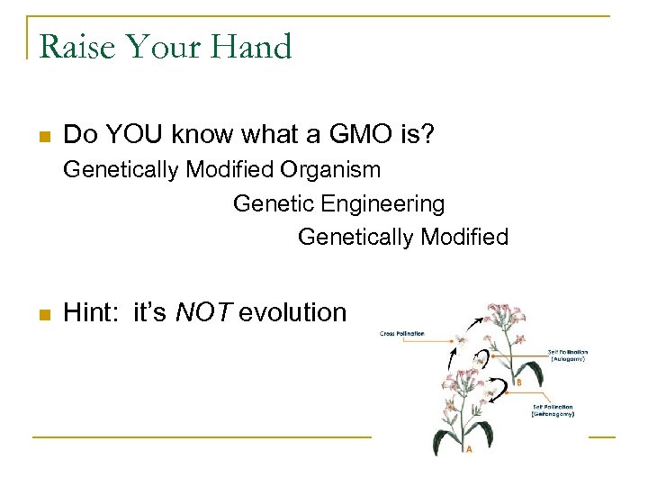 Raise Your Hand n Do YOU know what a GMO is? Genetically Modified Organism