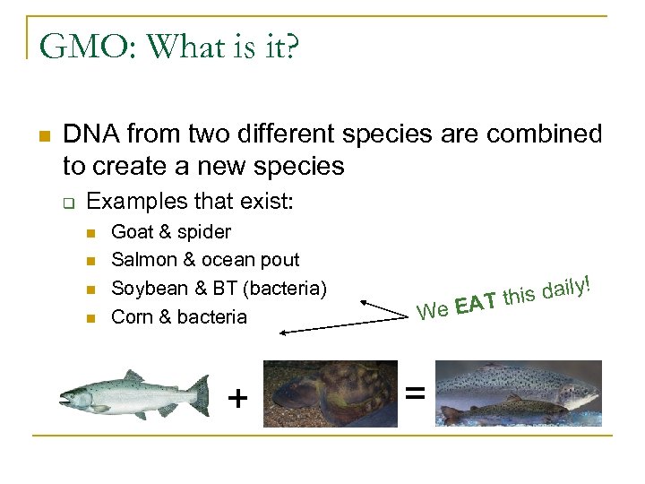 GMO: What is it? n DNA from two different species are combined to create