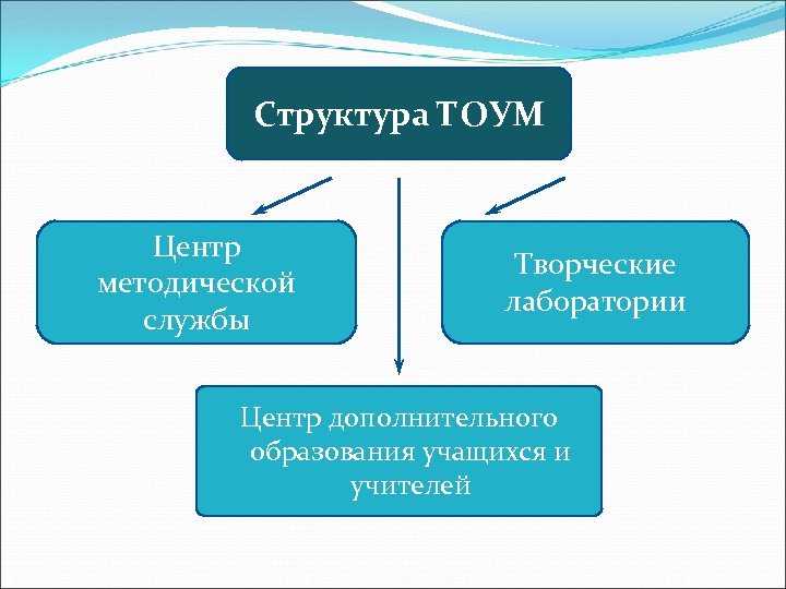 Структура ТОУМ Центр методической службы Творческие лаборатории Центр дополнительного образования учащихся и учителей 