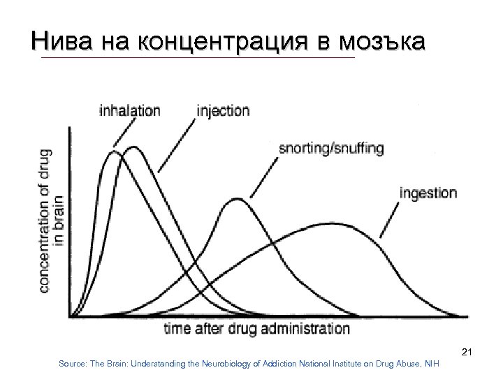 Нива на концентрация в мозъка 21 Source: The Brain: Understanding the Neurobiology of Addiction