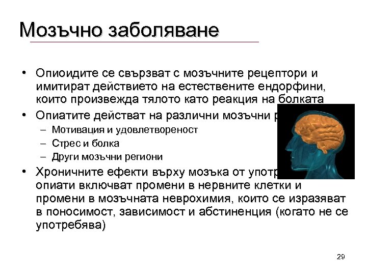 Мозъчно заболяване • Опиоидите се свързват с мозъчните рецептори и имитират действието на естествените