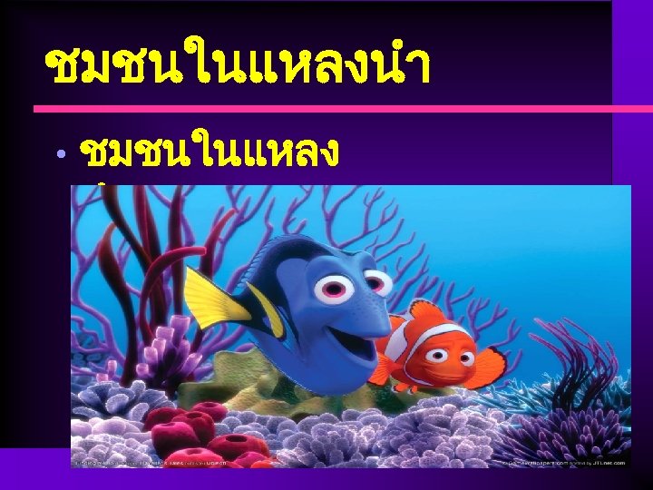 ชมชนในแหลงนำ • ชมชนในแหลง นำนง 