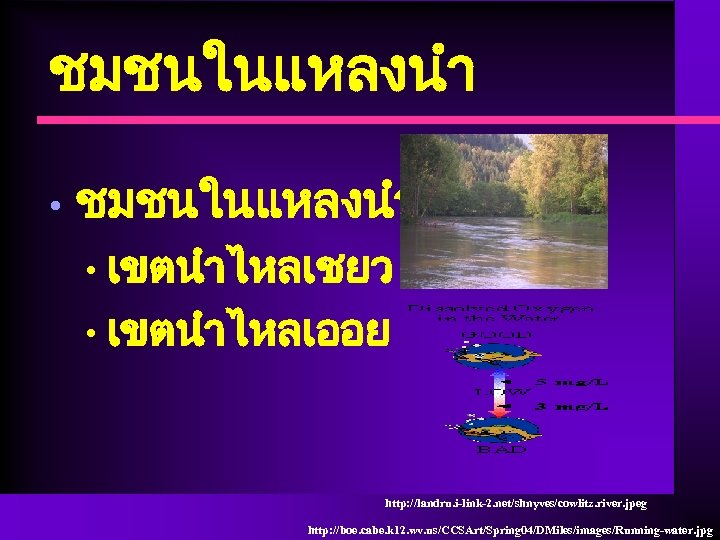 ชมชนในแหลงนำ • ชมชนในแหลงนำไหล เขตนำไหลเชยว • เขตนำไหลเออย • http: //landru. i-link-2. net/shnyves/cowlitz. river. jpeg http: