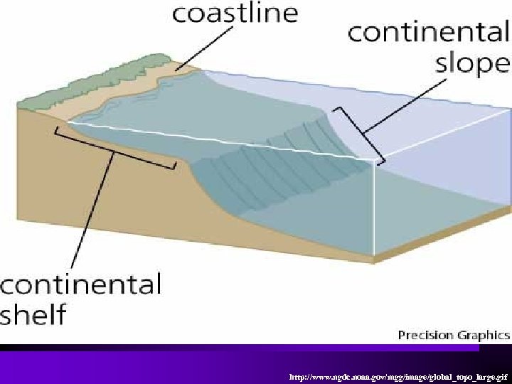http: //www. ngdc. noaa. gov/mgg/image/global_topo_large. gif 