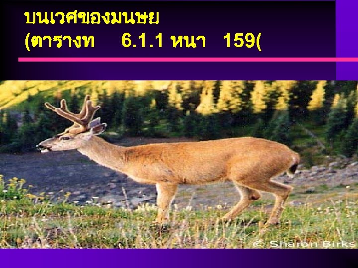 บนเวศของมนษย (ตารางท 6. 1. 1 หนา 159( 