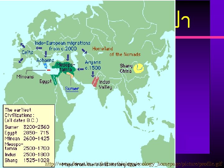 ปา http: //www. forest. ku. ac. th/forestbiology/ecology_homepage/picture/profile. gif 