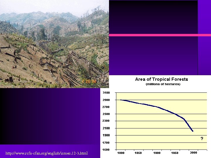 http: //www. rcfa-cfan. org/english/issues. 12 -3. html 