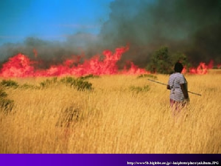 http: //www 5 b. biglobe. ne. jp/~kaiphoto/place/yakihata. JPG 