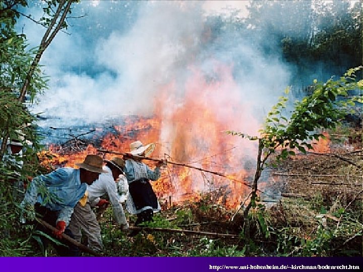 http: //www. uni-hohenheim. de/~kirchman/bodenrecht. htm 