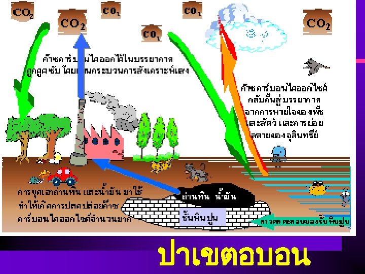 ปาเขตอบอน 